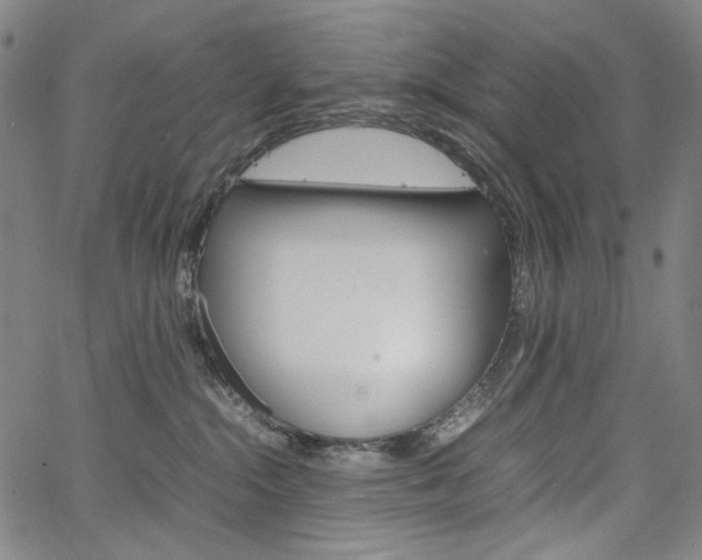 X0000067480284200604070935