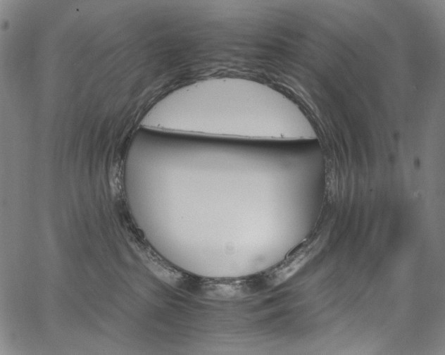 X0000067480285200604070935