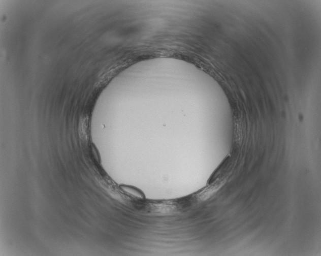 X0000067480286200604070935