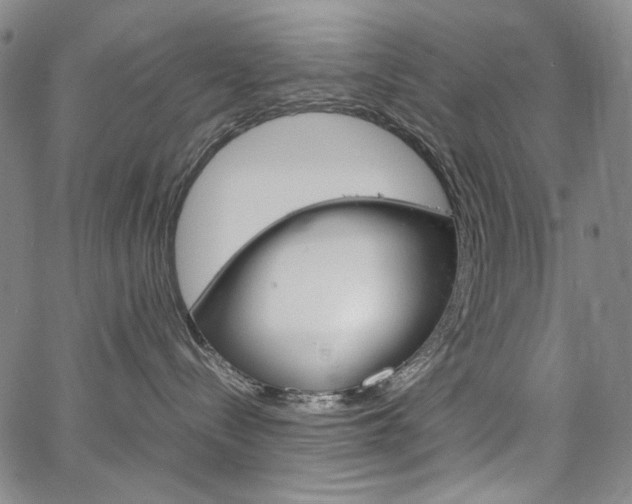 X0000067480288200604070935