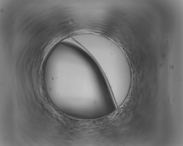 X0000067480289200604070934