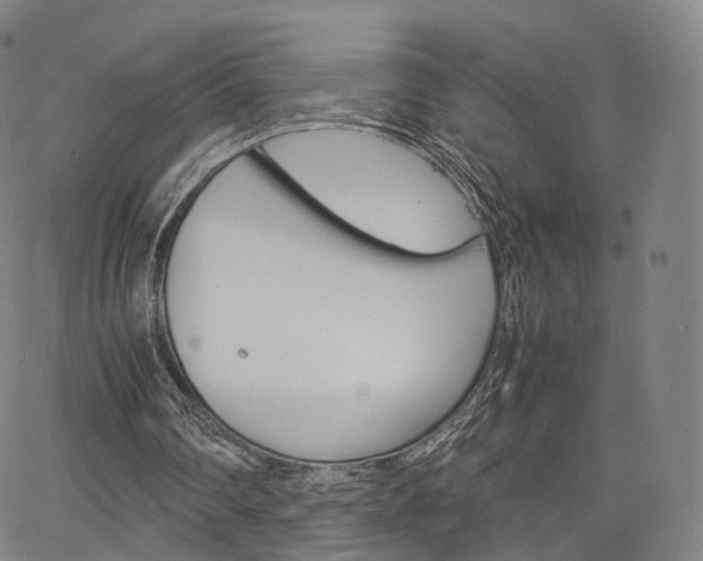 X0000067480290200604070934