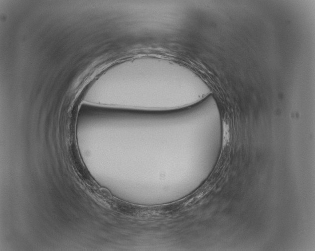 X0000067480291200604070934