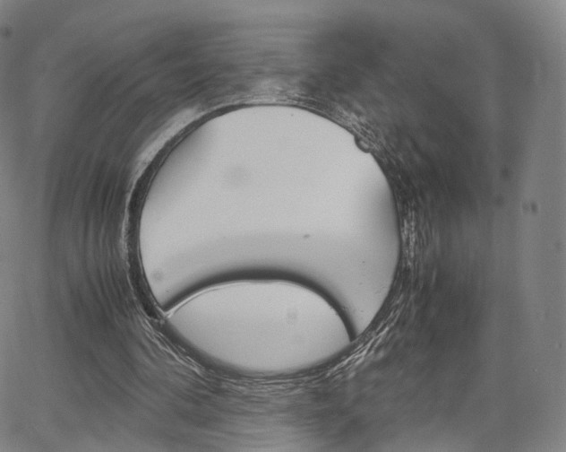 X0000067480292200604070934