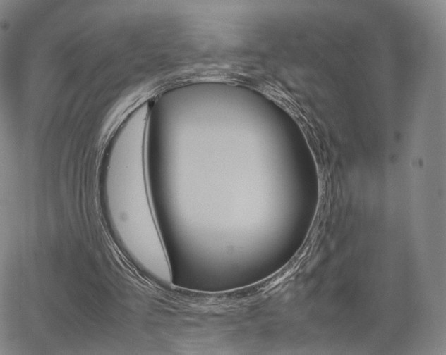 X0000067480293200604070934