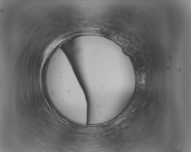 X0000067480294200604070934