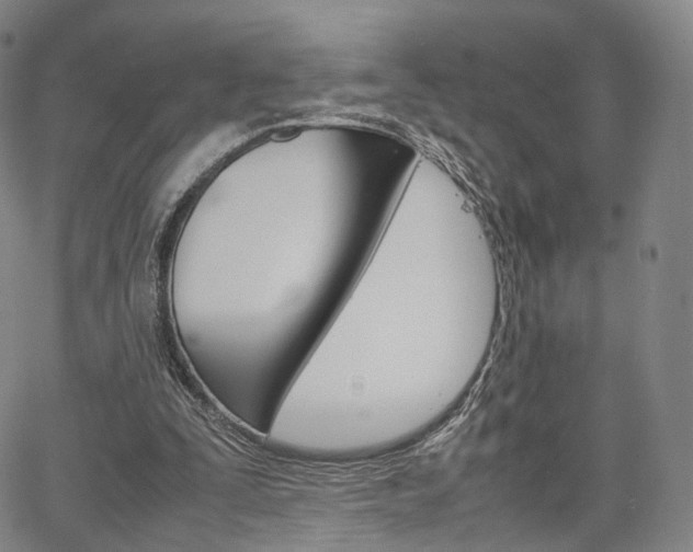 X0000067480295200604070934