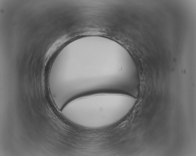 X0000067480296200604070934