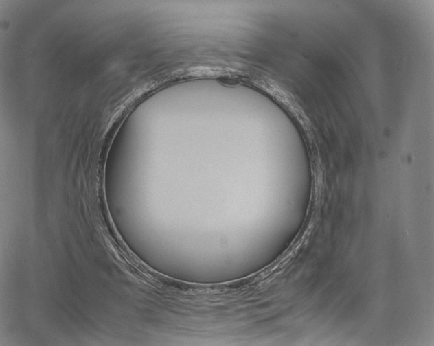 X0000067480297200604070934