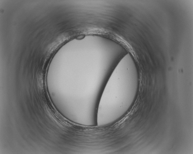 X0000067480298200604070934