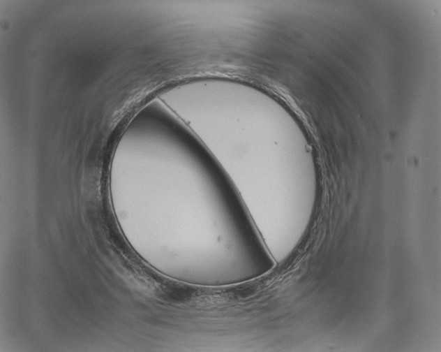 X0000067480299200604070934