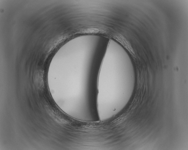 X0000067480300200604070934