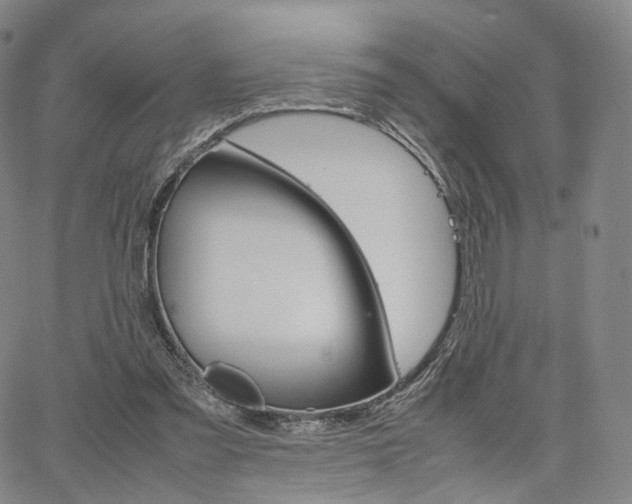 X0000067480301200604070934