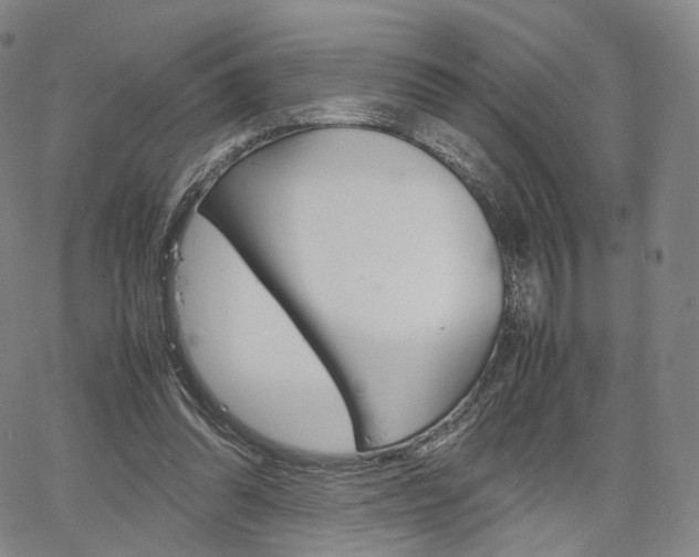 X0000067480302200604070934