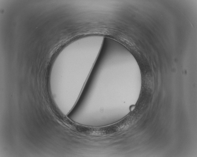 X0000067480303200604070934