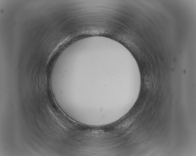 X0000067480304200604070934