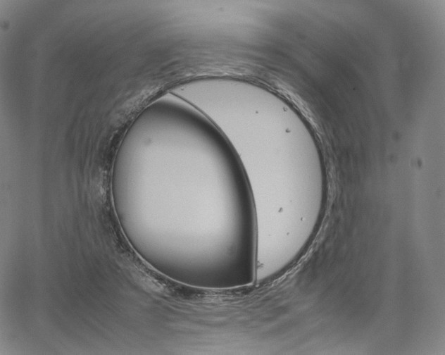 X0000067480305200604070934