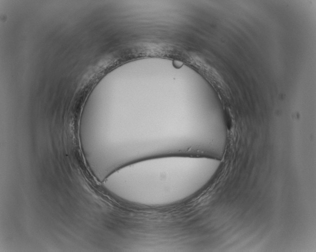 X0000067480306200604070934