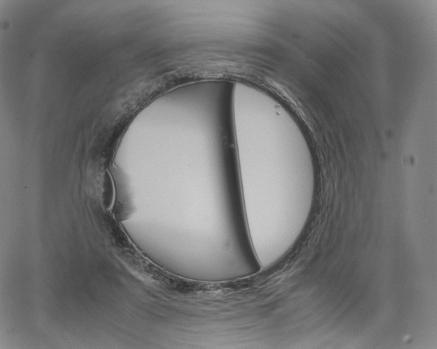 X0000067480307200604070934