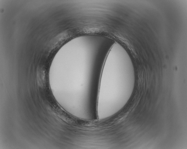 X0000067480308200604070934