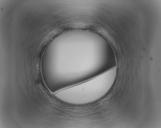 X0000067480309200604070934