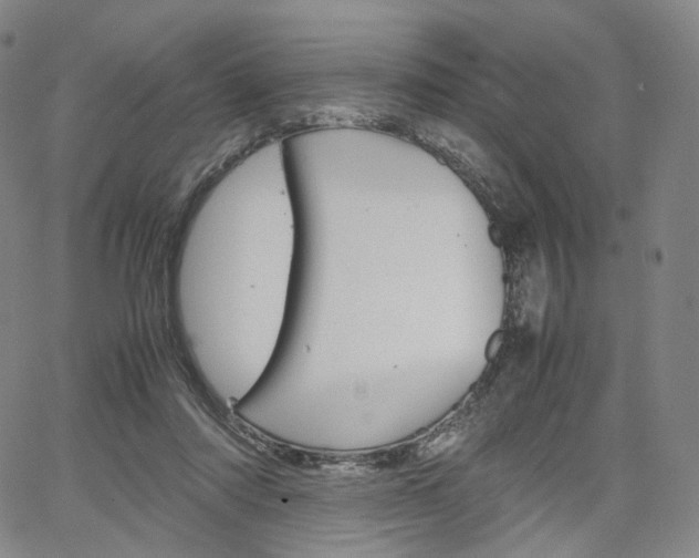 X0000067480310200604070934