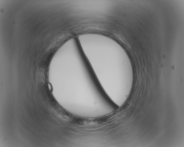 X0000067480311200604070934