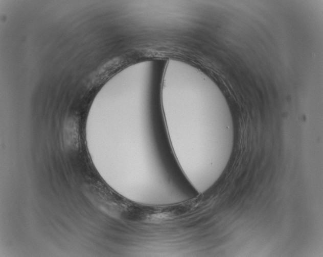 X0000067480312200604070934