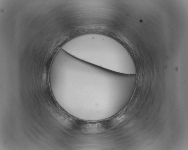 X0000067480314200604070934