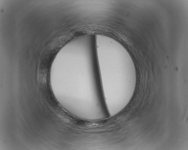 X0000067480315200604070934