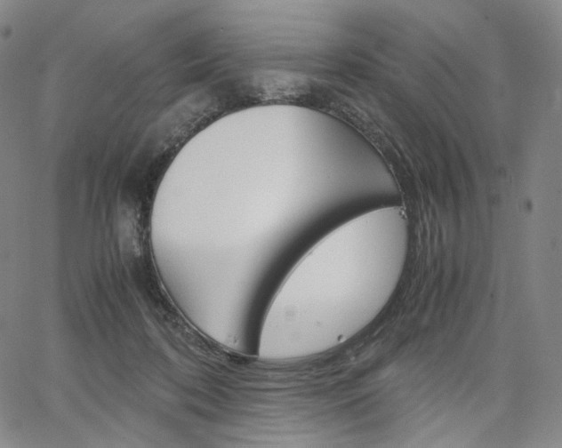 X0000067480316200604070934