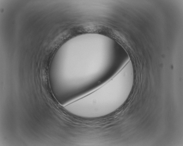 X0000067480317200604070934