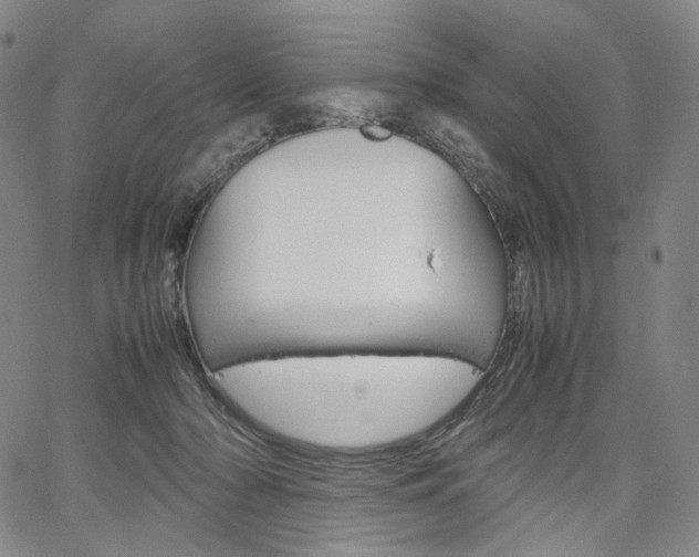 X0000067480318200604070934