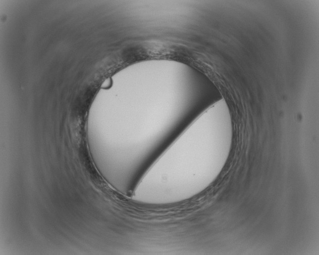 X0000067480319200604070934