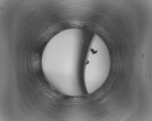 X0000067480320200604070934