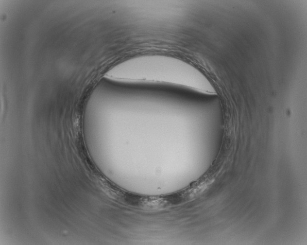 X0000067480321200604070934