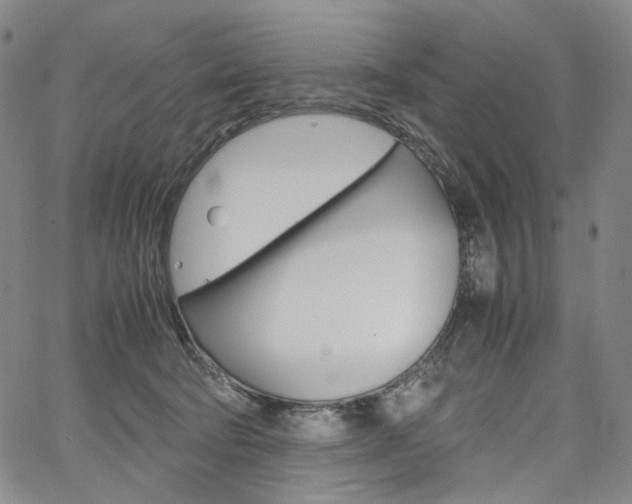 X0000067480322200604070934