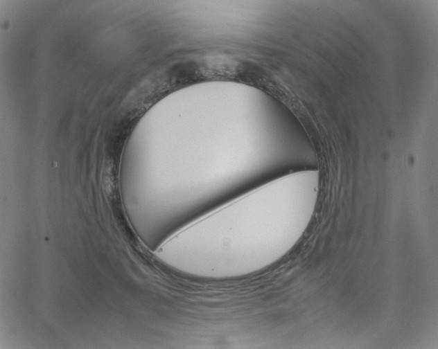 X0000067480323200604070934