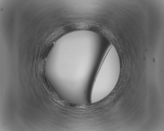 X0000067480325200604070934