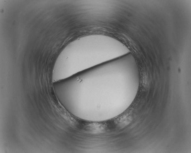 X0000067480326200604070934