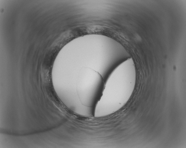 X0000067480327200604070934