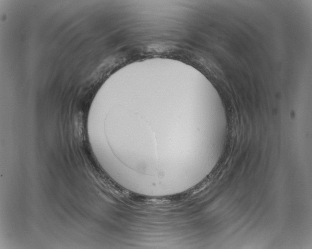 X0000067480328200604070934