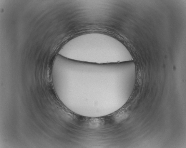 X0000067480330200604070934