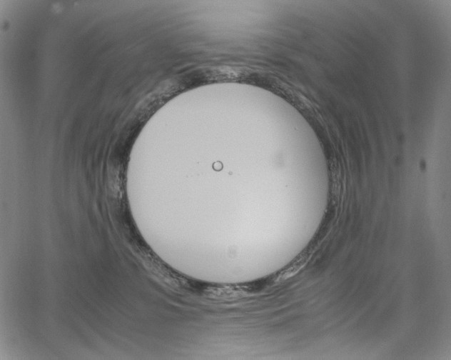 X0000067480331200604070934