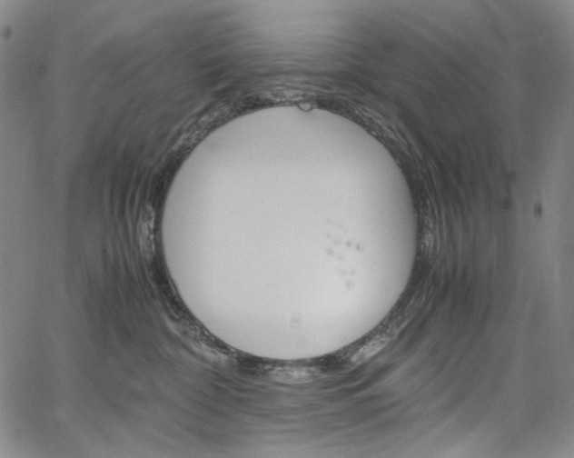 X0000067480332200604070934