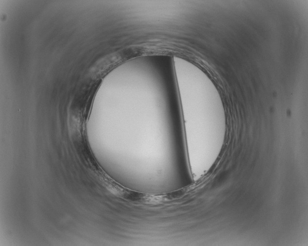 X0000067480333200604070934