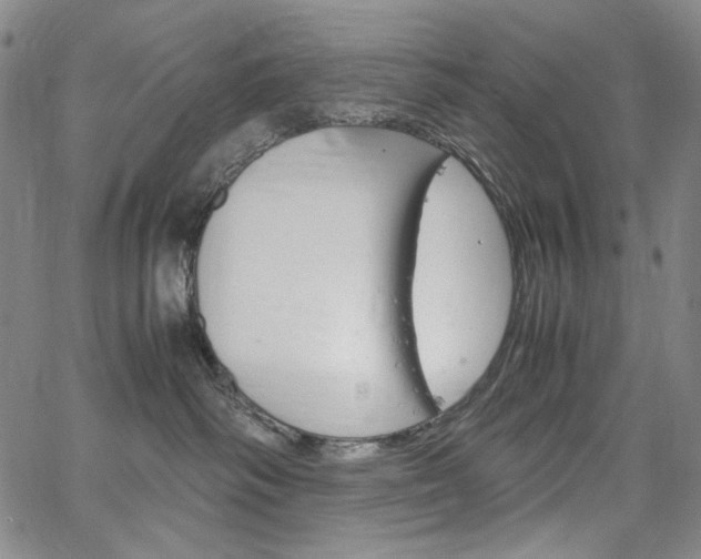 X0000067480334200604070934