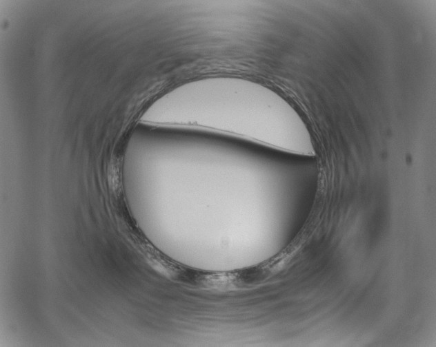 X0000067480335200604070934