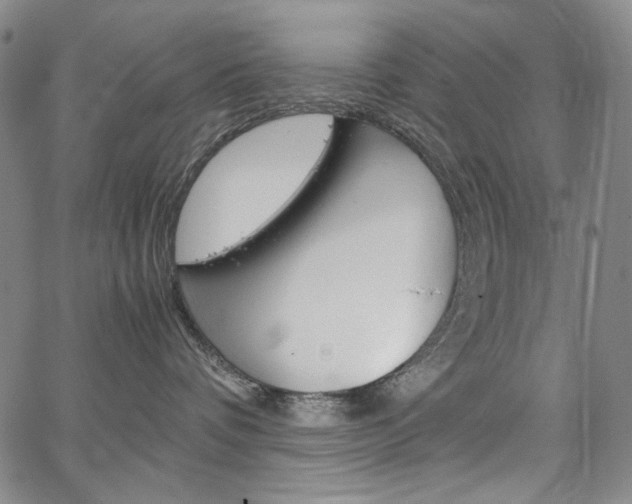 X0000067480336200604070934