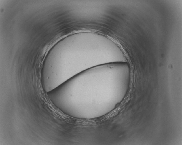 X0000067480337200604070933